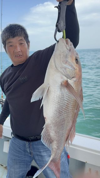マダイ