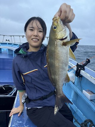 シマアジ