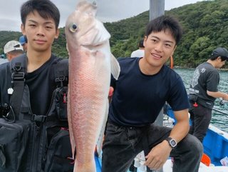 アマダイ