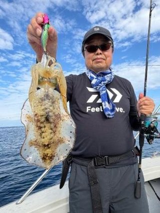 アオリイカ