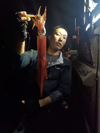 シロイカ