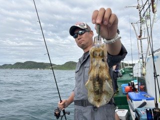 アオリイカ