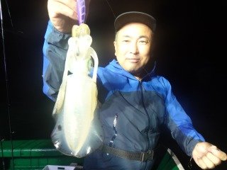 アオリイカ