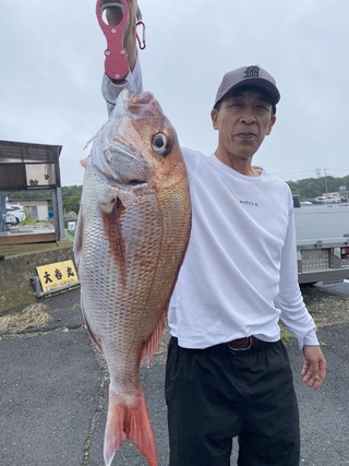 マダイ