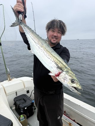 サワラ