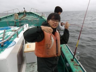 シロギス