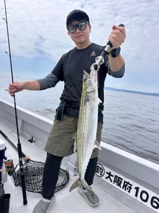 サワラ