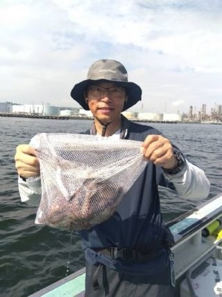 マダコ