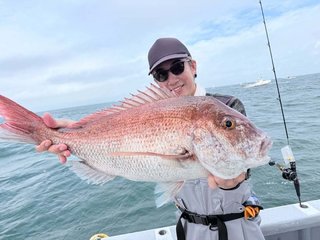マダイ