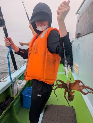 タコ