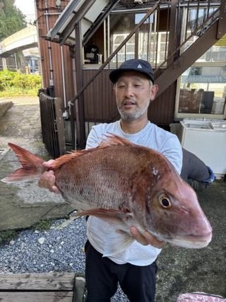 マダイ