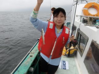 シロギス