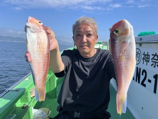 アマダイ
