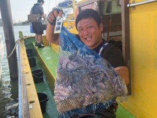 マダコ