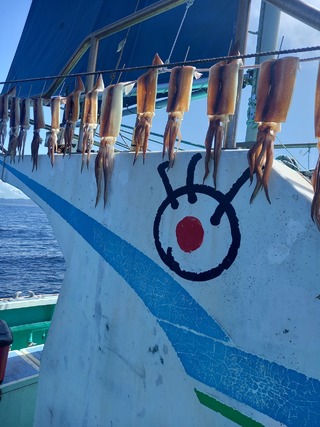 スルメイカ