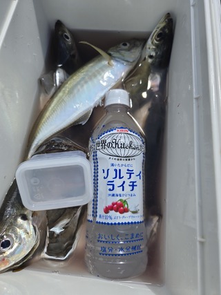 アジ