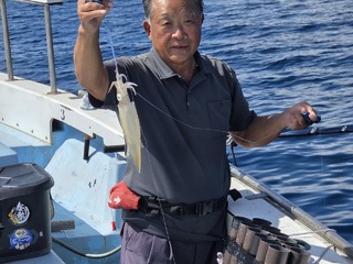 ヤリイカ