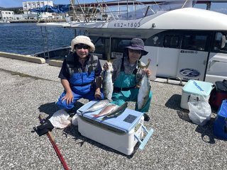 ワラサ