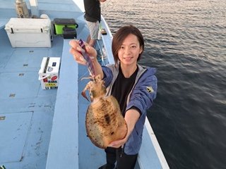 アオリイカ