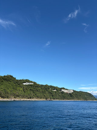 カマス
