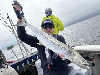サワラ