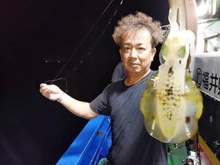 アオリイカ