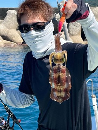 アオリイカ