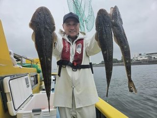 マゴチ