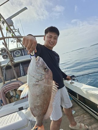 マダイ