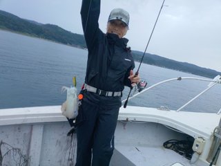 アオリ