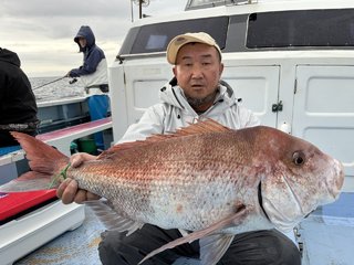 マダイ