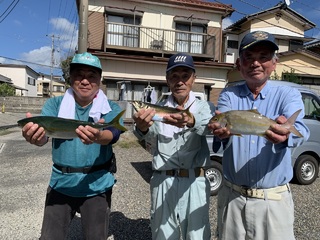 アジ