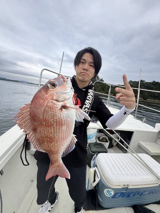 マダイ