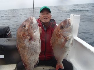 マダイ