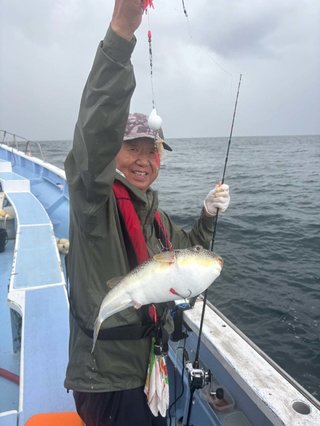 ショウサイフグ