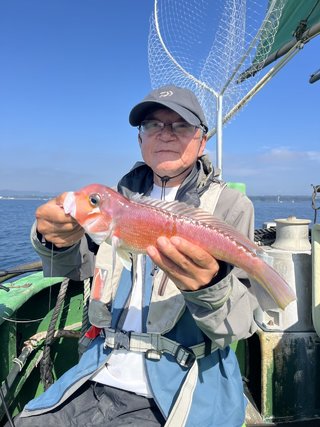 アマダイ