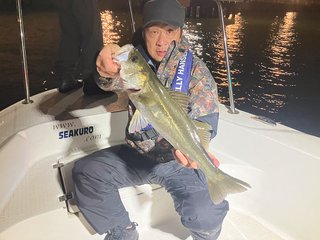 シーバス
