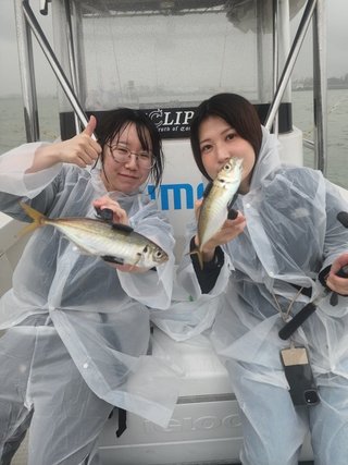 カサゴ