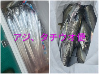タチウオ