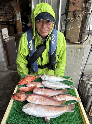 アマダイ