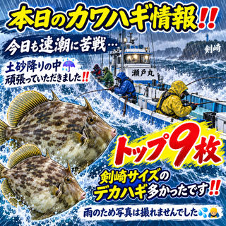 カワハギ