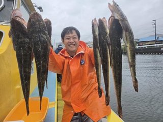 マゴチ