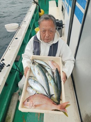 マダイ