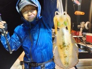 アオリイカ