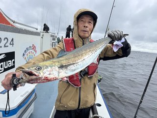 サワラ