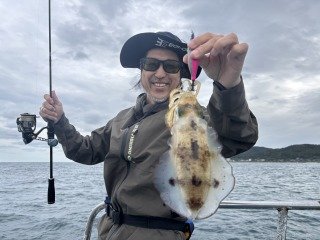 アオリイカ