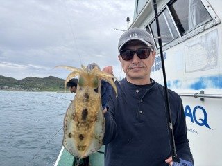 アオリイカ