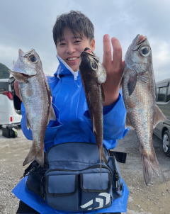 クロムツ