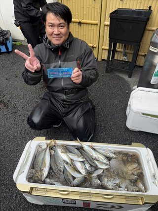 マアジ