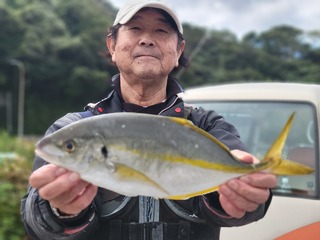 ワラサ